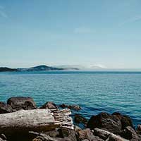 云呼炸仇人软件