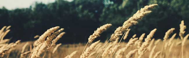 手机号测压下载