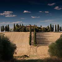 获取短信验证码平台