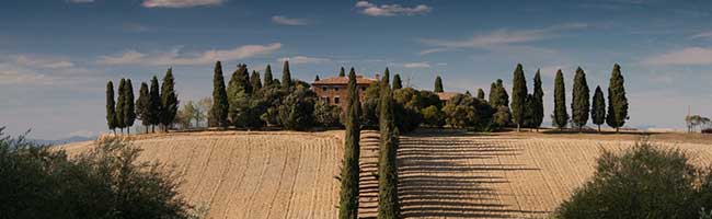 高效办公软件的秋思短信轰炸平台