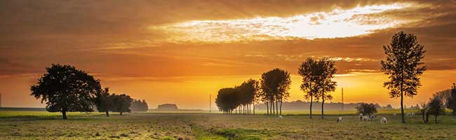 手机号测压下载